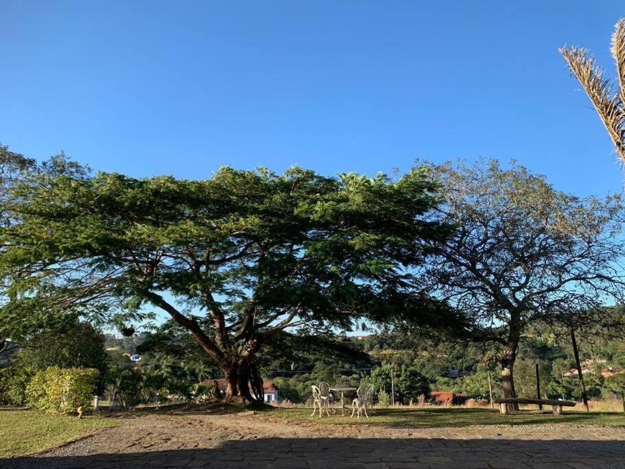 Quarto Dos Vinhos Villa São Roque Buitenkant foto